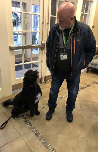 Pet therapy