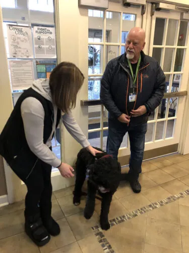 Pet therapy