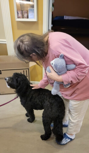 Hospice Pet Therapy Program 3 Pet therapy