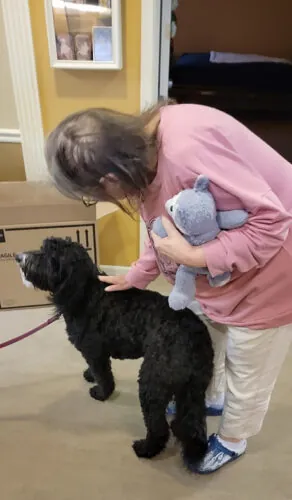 Pet therapy